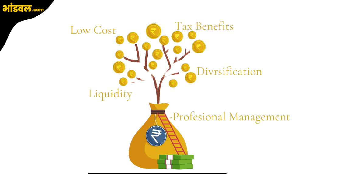 फंड हे पैसे दुप्पट करणारे फंड कोणते mutual fund meaning in marathi