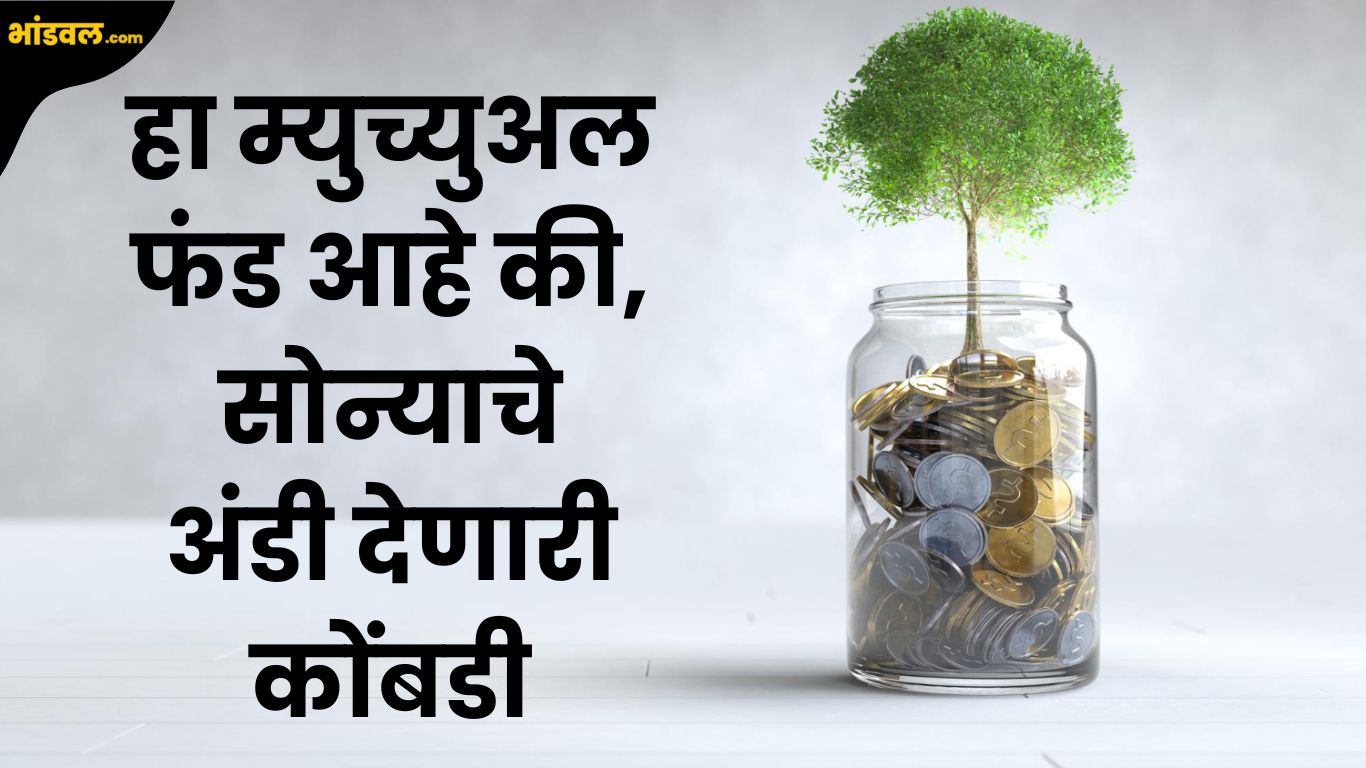 Best Mutual Fund